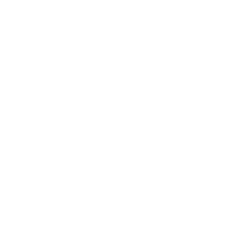 lighbulb icon